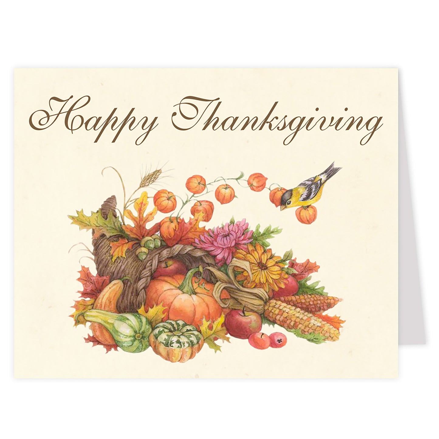 Cornucopia Thanksgiving Cards, Set of 24