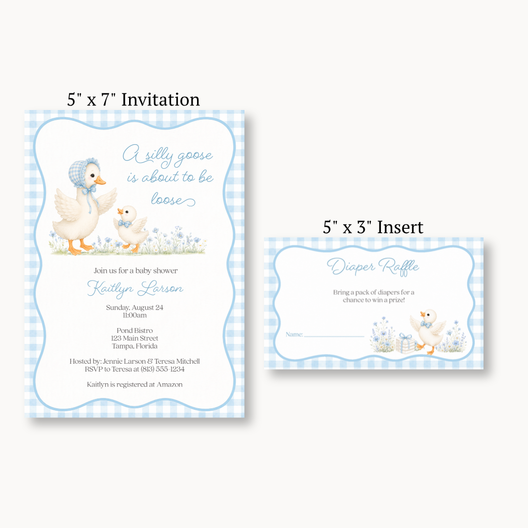 Silly Goose Diaper Raffle Ticket - Boy