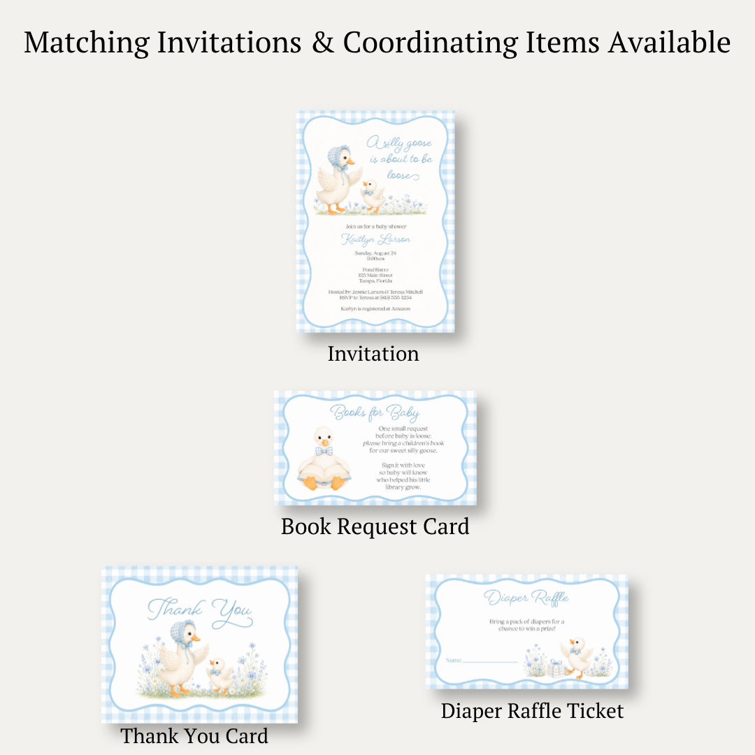 Silly Goose Diaper Raffle Ticket - Boy