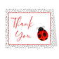 Ladybug Thank You Card